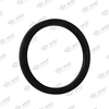OIL SEAL 105X125X12/9,5MM SUITABLE TO ZF TRANSMISSIONS 0734319459
